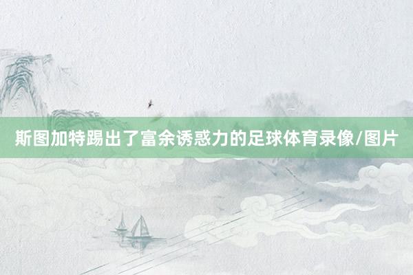 斯图加特踢出了富余诱惑力的足球体育录像/图片