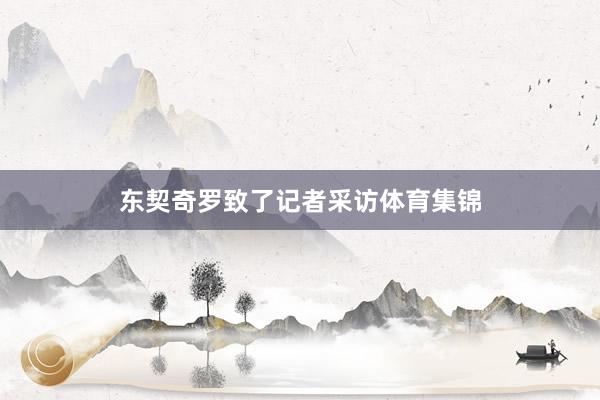 东契奇罗致了记者采访体育集锦