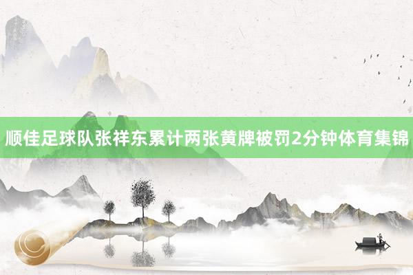 顺佳足球队张祥东累计两张黄牌被罚2分钟体育集锦