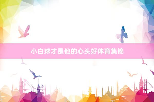 小白球才是他的心头好体育集锦