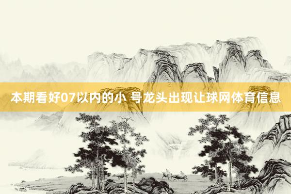 本期看好07以内的小 号龙头出现让球网体育信息