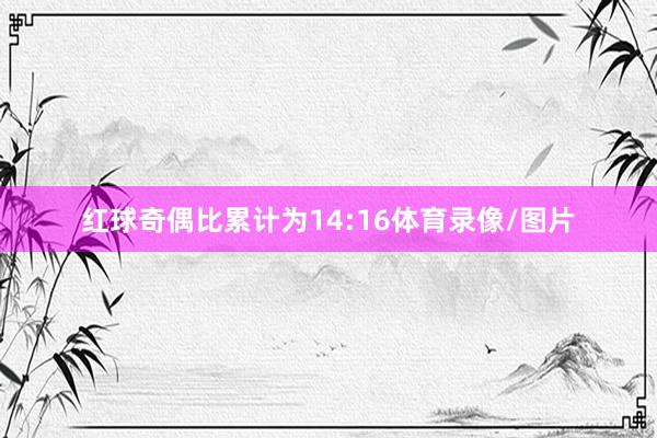 红球奇偶比累计为14:16体育录像/图片