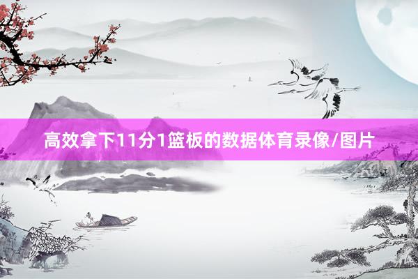 高效拿下11分1篮板的数据体育录像/图片