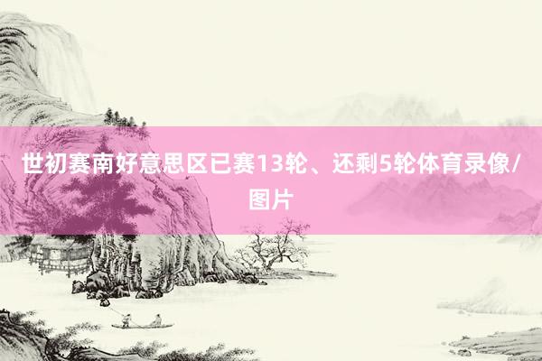 世初赛南好意思区已赛13轮、还剩5轮体育录像/图片