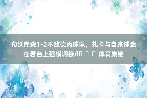 勒沃库森1-2不敌德丙球队，扎卡与自家球迷在看台上强横调换👀体育集锦
