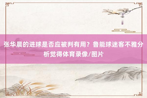 张华晨的进球是否应被判有用？鲁能球迷客不雅分析觉得体育录像/图片
