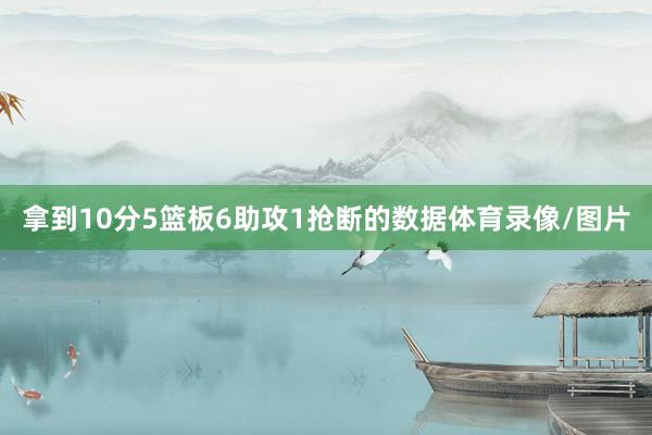 拿到10分5篮板6助攻1抢断的数据体育录像/图片