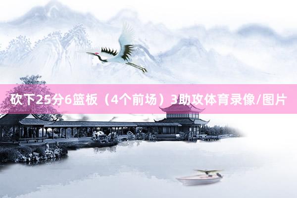 砍下25分6篮板（4个前场）3助攻体育录像/图片