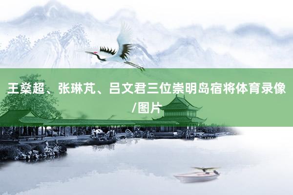 王燊超、张琳芃、吕文君三位崇明岛宿将体育录像/图片