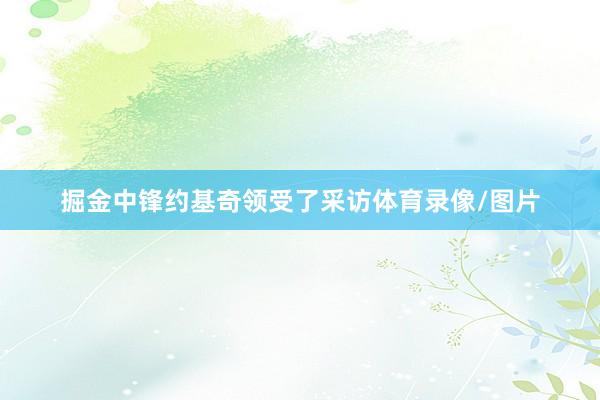 掘金中锋约基奇领受了采访体育录像/图片