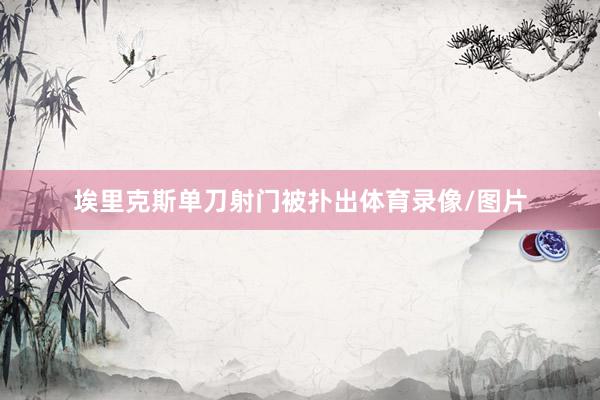 埃里克斯单刀射门被扑出体育录像/图片