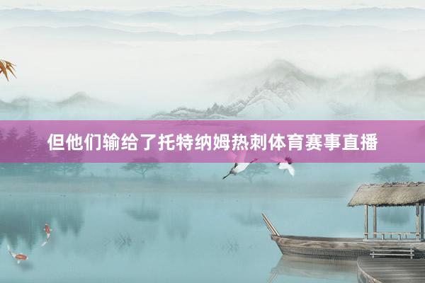 但他们输给了托特纳姆热刺体育赛事直播