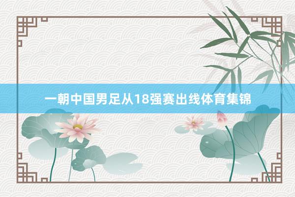 一朝中国男足从18强赛出线体育集锦