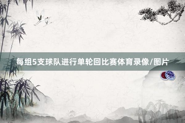 每组5支球队进行单轮回比赛体育录像/图片