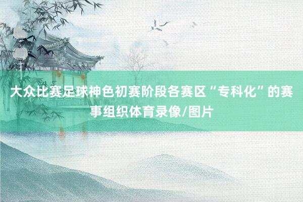 大众比赛足球神色初赛阶段各赛区“专科化”的赛事组织体育录像/