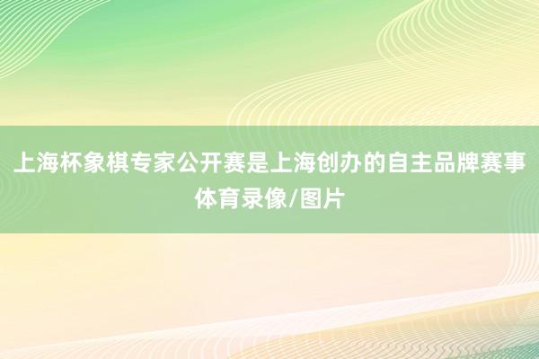 上海杯象棋专家公开赛是上海创办的自主品牌赛事体育录像/图片
