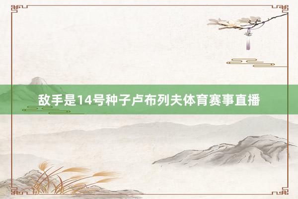 敌手是14号种子卢布列夫体育赛事直播