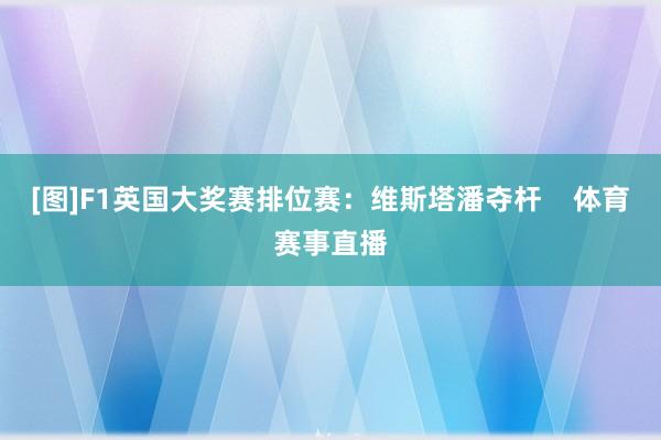 [图]F1英国大奖赛排位赛：维斯塔潘夺杆    体育赛事直播
