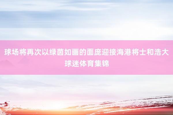 球场将再次以绿茵如画的面庞迎接海港将士和浩大球迷体育集锦