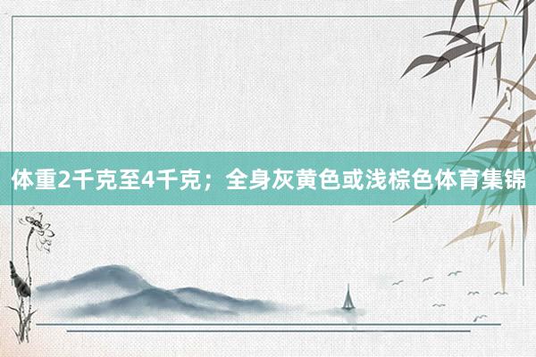 体重2千克至4千克；全身灰黄色或浅棕色体育集锦