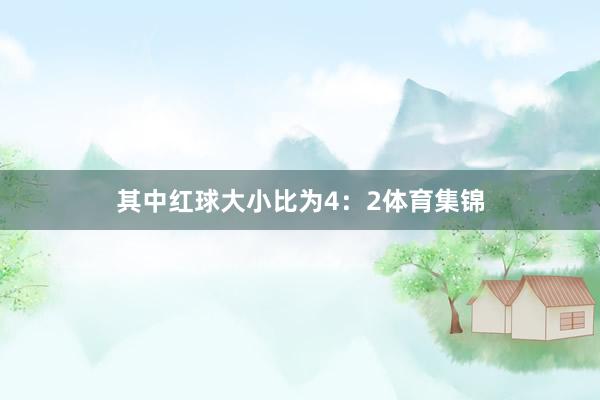 其中红球大小比为4：2体育集锦