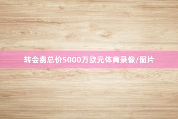 转会费总价5000万欧元体育录像/图片