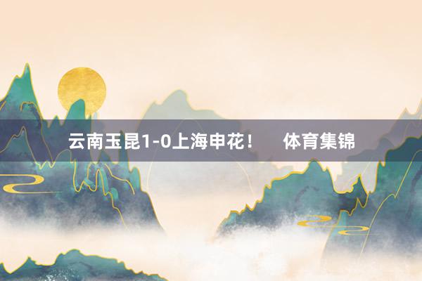 云南玉昆1-0上海申花！    体育集锦