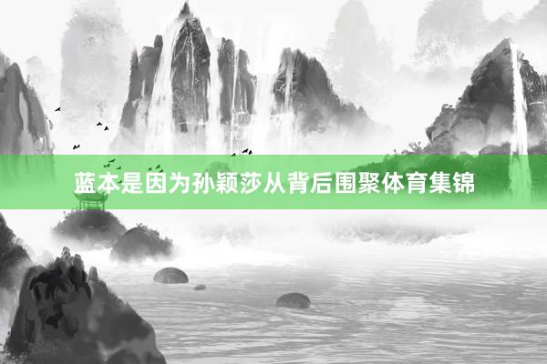 蓝本是因为孙颖莎从背后围聚体育集锦