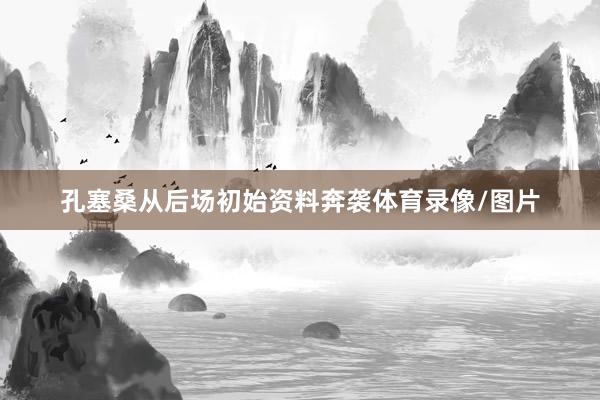 孔塞桑从后场初始资料奔袭体育录像/图片