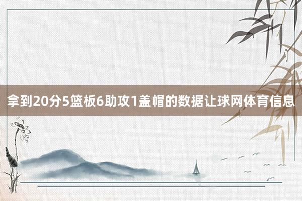 拿到20分5篮板6助攻1盖帽的数据让球网体育信息