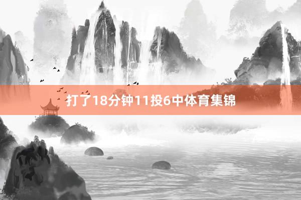 打了18分钟11投6中体育集锦