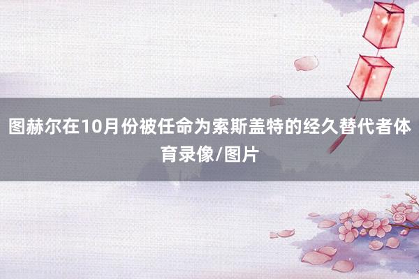 图赫尔在10月份被任命为索斯盖特的经久替代者体育录像/图片