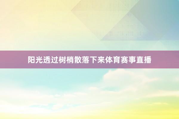 阳光透过树梢散落下来体育赛事直播