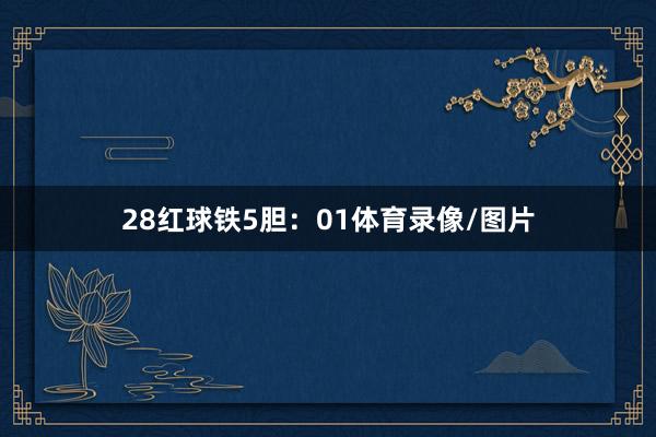 28　　红球铁5胆：01体育录像/图片