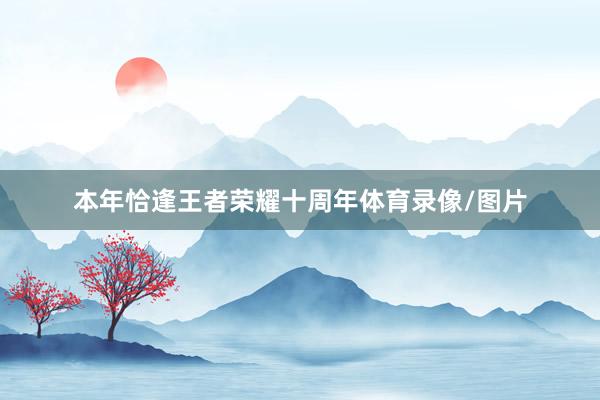 本年恰逢王者荣耀十周年体育录像/图片