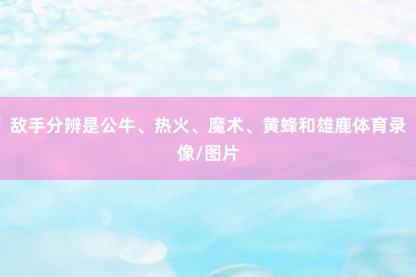敌手分辨是公牛、热火、魔术、黄蜂和雄鹿体育录像/图片