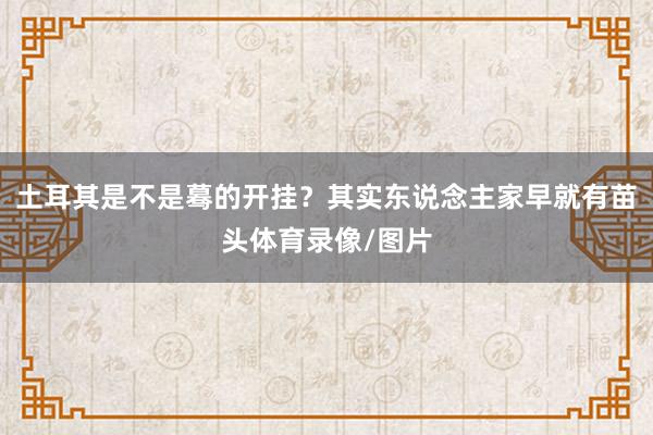 土耳其是不是蓦的开挂？其实东说念主家早就有苗头体育录像/图片