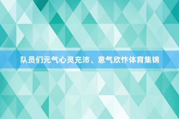 队员们元气心灵充沛、意气欣忭体育集锦