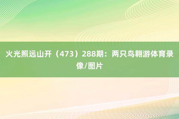 火光照远山开(473) 288期:两只鸟翱游体育录像/图片