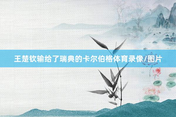 王楚钦输给了瑞典的卡尔伯格体育录像/图片